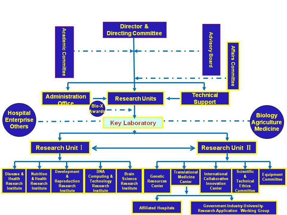Organization Structure.jpg